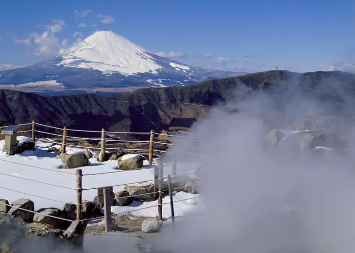 Hyatt Regency Hakone Resort And Spa